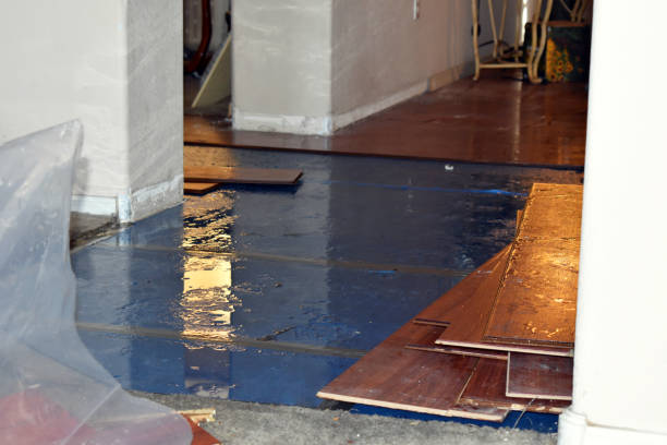 Professional Water Damage Restoration technician working in Brunswick, ME